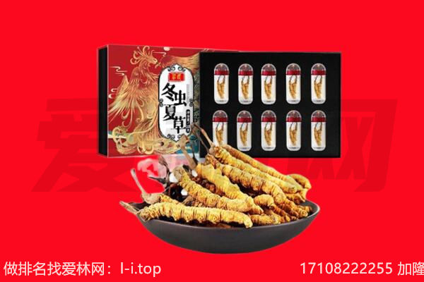 江城区回收虫草.jpg